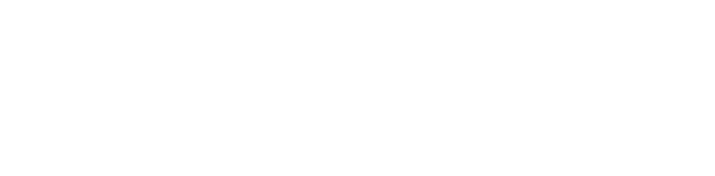 The Power of Partnering